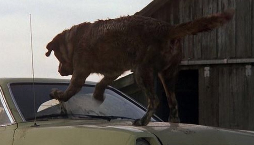 Cujo (1983) – O filme exagera nos sintomas apresentados pelo cachorro infectado — Foto: Sunn Classic Pictures/ Reprodução