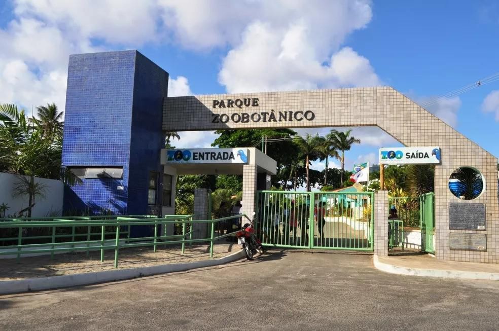 O Parque Zoobotânico de Salvador oferece entrada gratuita a todos os visitantes — Foto: ( Parque Zoobotânico de Salvador/ Divulgação)