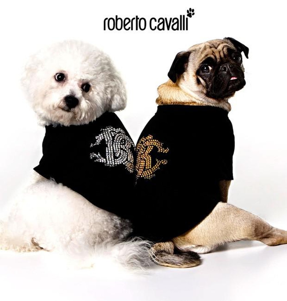 Grandes marcas de luxo, como Versace e Moncler, apostam em roupas para ...