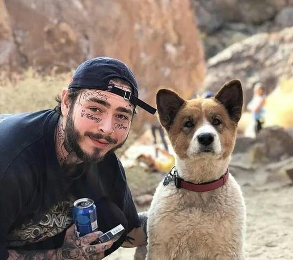 Post Malone é tutor de um cachorro chamado Teddy — Foto: ( Instagram/ @postmalone/ Reprodução)