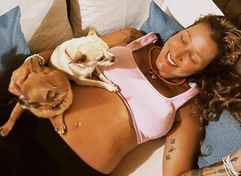 Grávida, Gabriela Pugliesi posa com as suas chihuahuas, Vanilla e Nutella — Foto: ( Instagram/ @eusougabriela/ Reprodução)