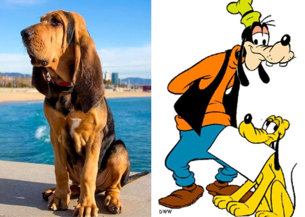 Os 10 cães mais famosos dos desenhos animados - Estrela Animal