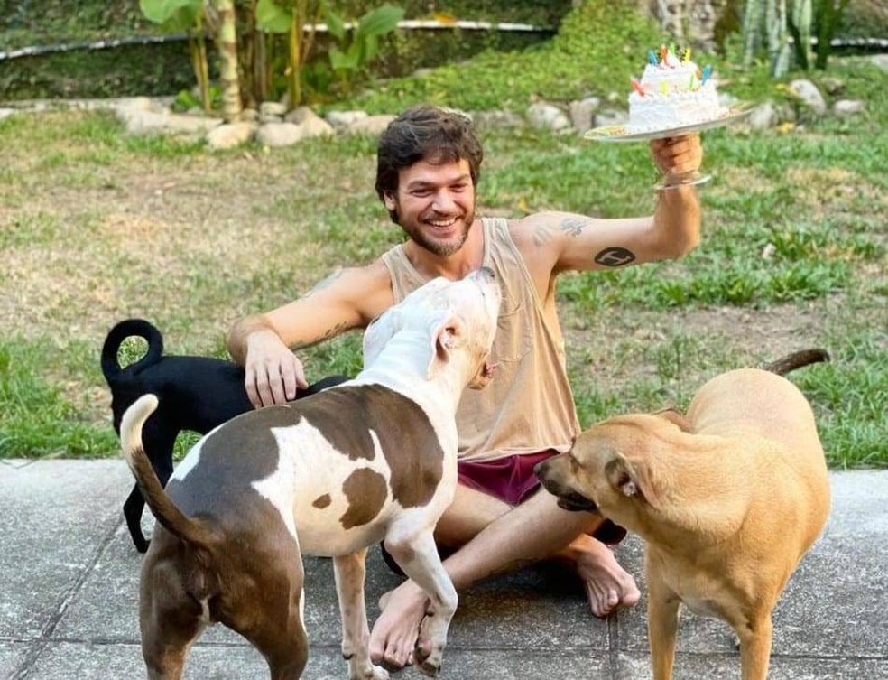 Emílio Dantas com os três cachorros dos quais é tutor — Foto:  Instagram/ @fabiulaa/ Reprodução