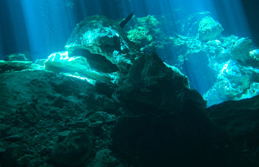 O iceberg pode encostar no fundo do mar, comprimindo organismos e modificando o habitat  — Foto: Canva/ Creative Commons