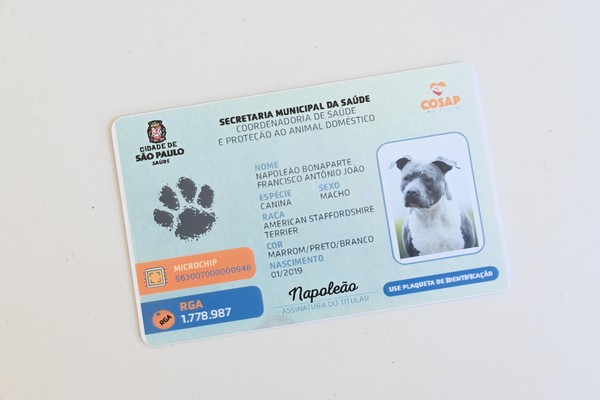RG de cachorro: saiba como tirar o documento digital | Comportamento ...