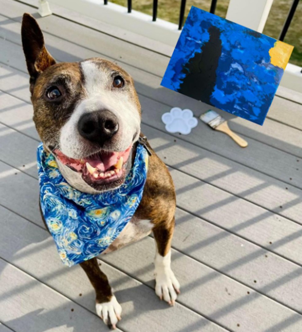 Quadro do pet Van  Gogh já é considerado um dos mais caros criados por um cão — Foto: Instagram/ @pedigreeus/ Reprodução