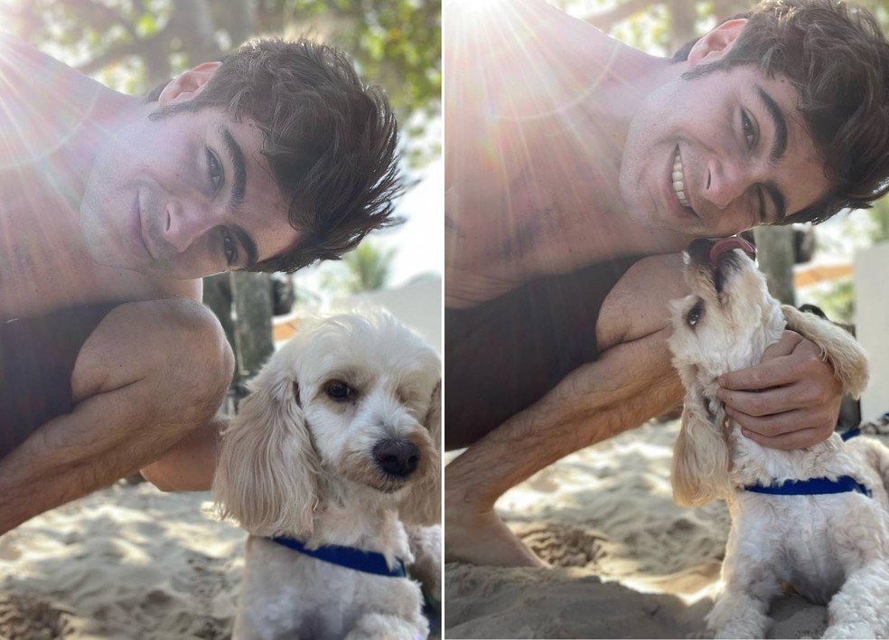 Rafael Vitti e Pepe, um dos 14 cachorros dos quais o ator e Tata Werneck são tutores — Foto:  Instagram/ @rafaavitti / Reprodução