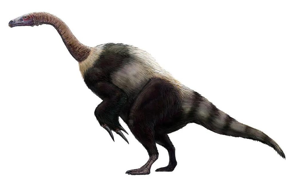 Imagem do Suzhousaurus megatherioides produzida com base em gêneros relacionados — Foto: ( Michael B. H./ Wikimedia Commons/ CreativeCommons)