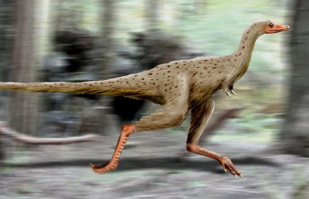 Ilustração digital do que seria o Linhenykus monodactylus — Foto: ( Nobu Tamura/ Wikimedia Commons/ CreativeCommons)