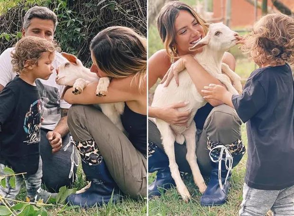 Bruno Gagliasso, Giovanna Ewbank e Zyan enchem as cabras do rancho de carinho — Foto: ( Instagram/ @gioewbank/ Reprodução)