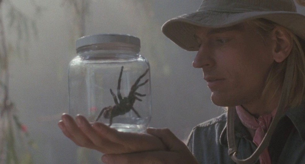 Aracnofobia (1990) – o nome do filme é um termo que define o medo extremo de aranhas e de outros aracnídeos — Foto: Buena Vista Pictures/ Reprodução
