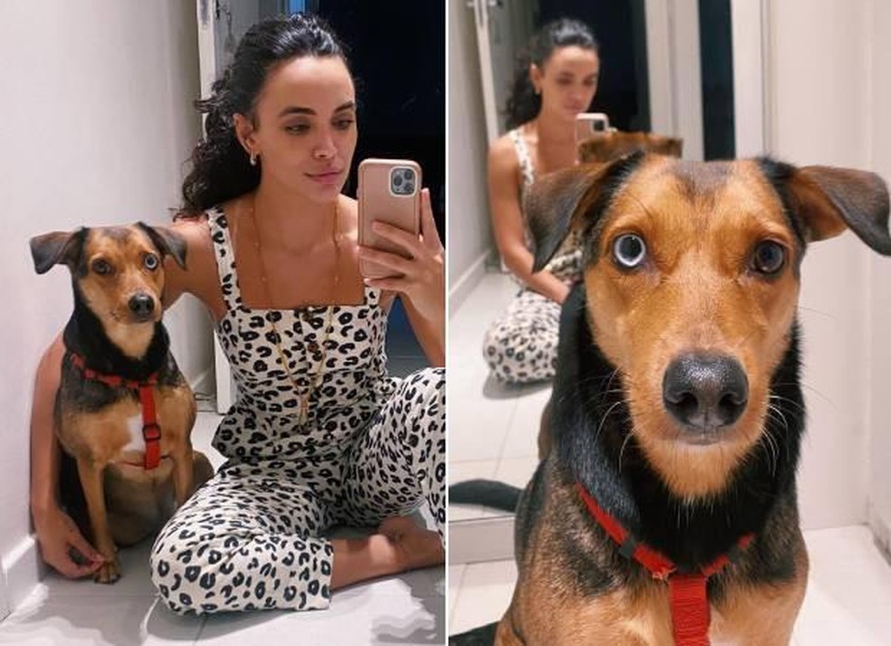 Giovana Cordeiro e sua cadela, Jolie — Foto: ( Instagram/ @cordeirogi/ Reprodução)