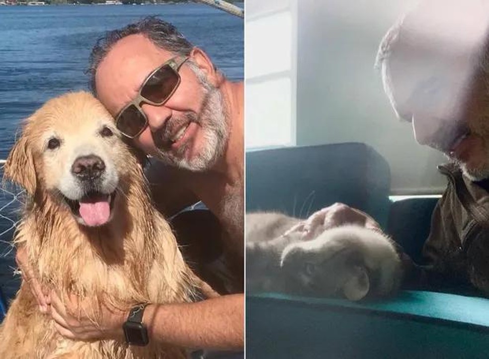 Humberto Martins é tutor de um gato, Tayler, e de um cachorro, Thor — Foto: ( Instagram/ @humbertomartins.oficial/ Reprodução)