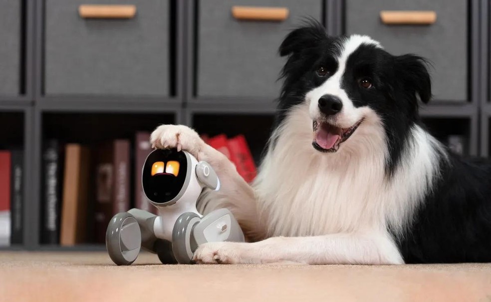 Athena: descubra os benefícios de ter um cachorro-robô