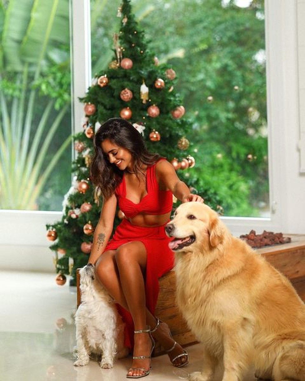 A influencer Bruna Biancardi utilizou uma foto com seus pets em frente à árvore de Natal para expressar os seus votos aos seus seguidores — Foto: Instagram/ @brunabiancardi/ Reprodução