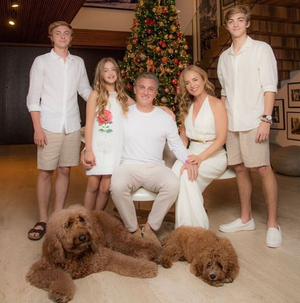 O casal global Angélica e Luciano Huck fez um registro com a família, incluindo os pets, em frente à árvore de Natal — Foto: Instagram/ @lucianohuck e @angelicaksy/ Reprodução