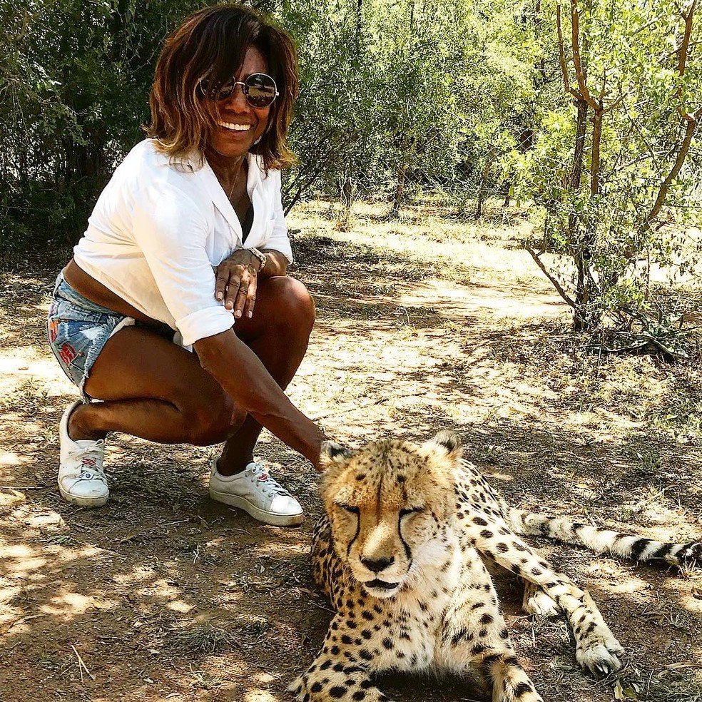 Glória Maria com guepardo na África do Sul — Foto: Instagram/ @gloriamariareal/ Reprodução