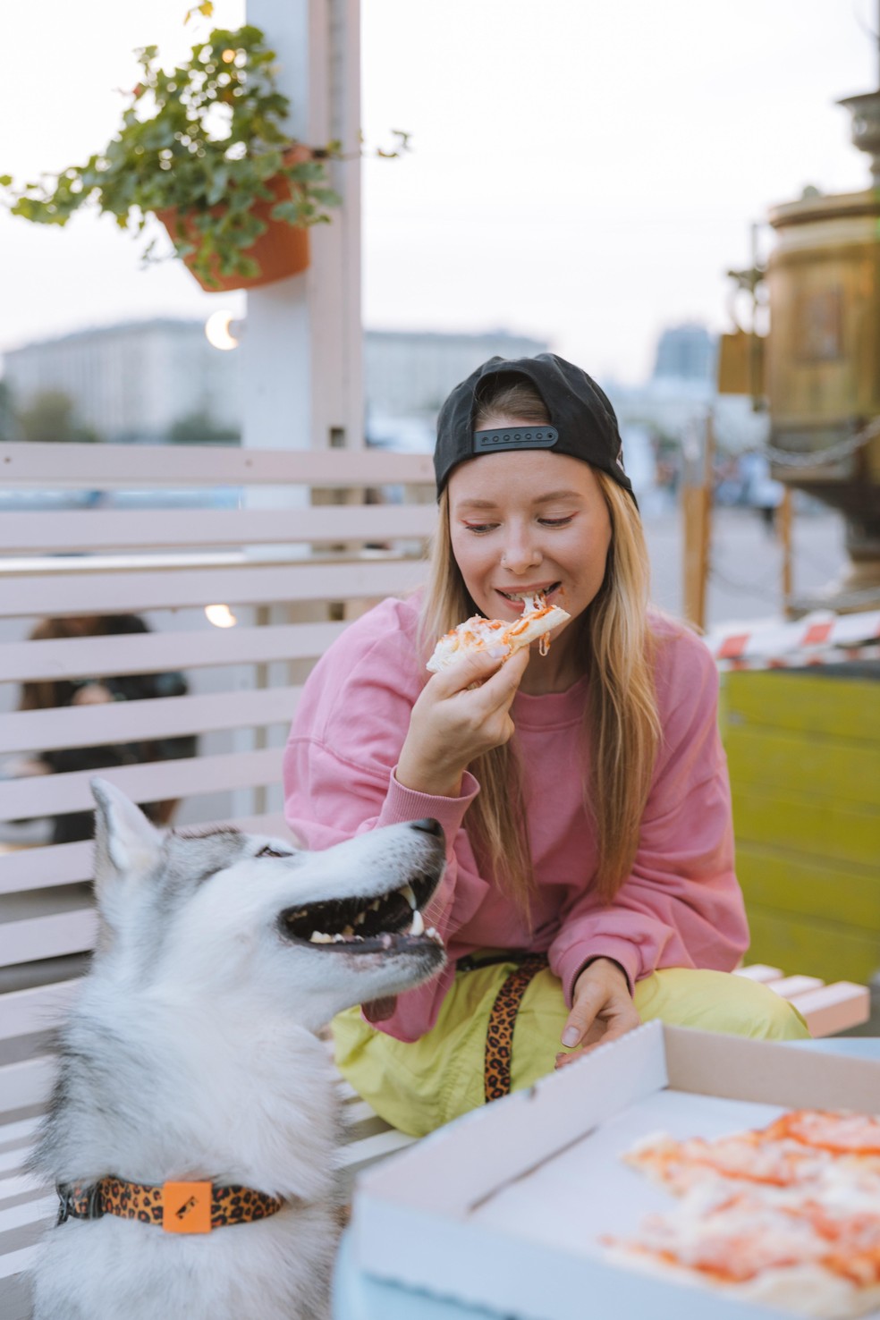 Os cães não devem, em nenhuma circunstância, comer pizza, independente do recheio — Foto: ( pexels/ yaroslav-shuraev/ CreativeCommons)