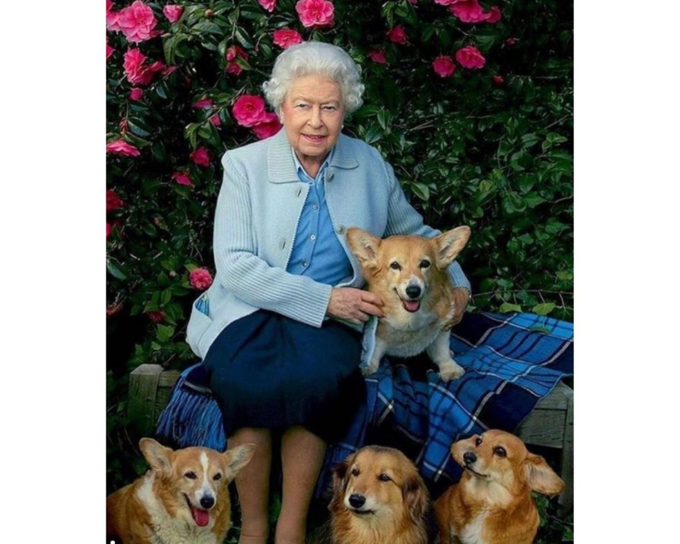 Rainha Elizabeth já teve 30 cachorros da mesma raça desde sua coroação — Foto: ( Instagram/ @thequeenscorgis/ Reprodução)