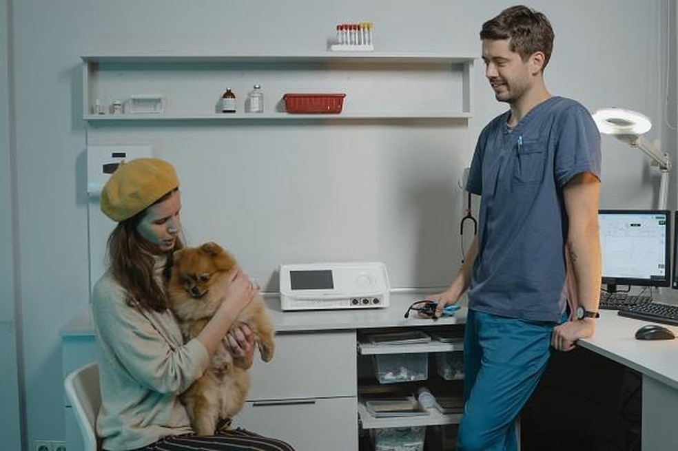 A comunicação entre veterinário e tutor é fundamental para garantir o bom tratamento do paciente — Foto: ( Pexels/ Tima Miroshnichenko/ CreativeCommons)