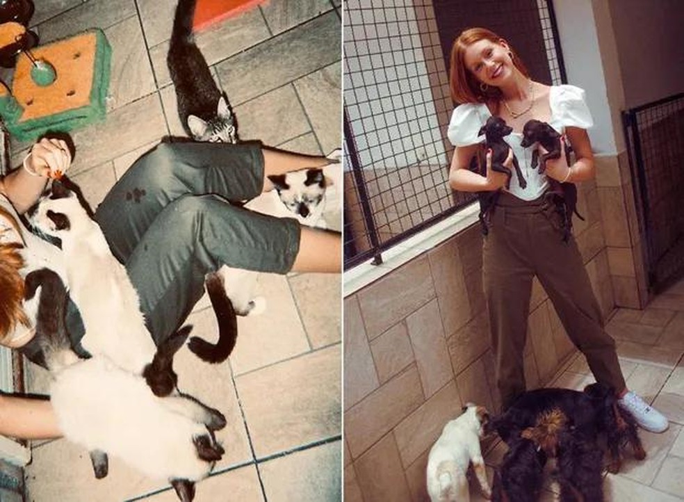 Marina Ruy Barbosa com animais que estão para serem adotados — Foto: ( Instagram/ @marinaruybarbosa/ Reprodução)
