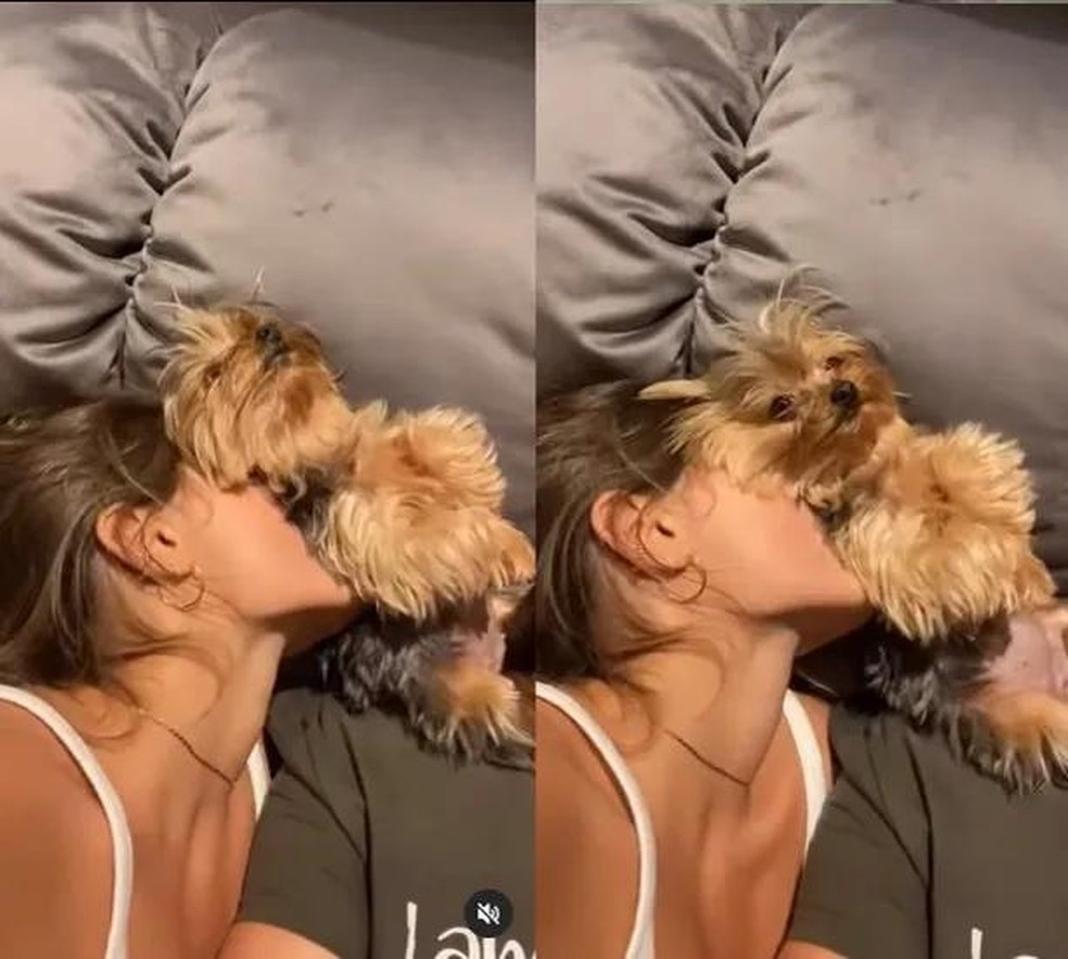 Xuxa brinca que 'briga' por carinhos da filha, Sasha, com a pet, Doralice — Foto: ( Instagram/ xuxameneghel/ Reprodução)