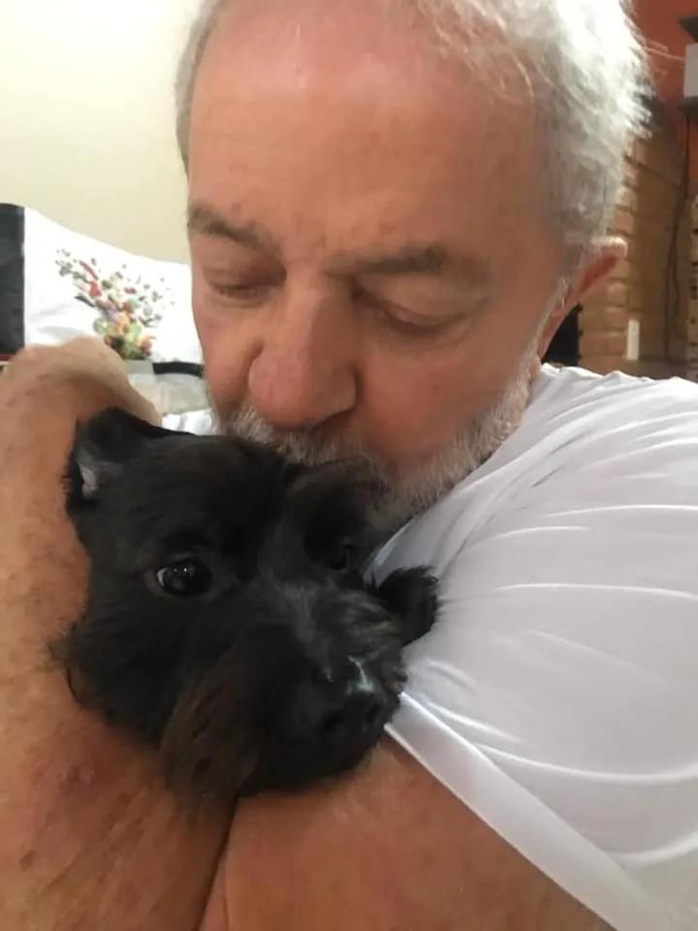 Assim que Lula foi solto, a pet virou a xodó do presidente eleito e foi morar com ele em São Bernardo do Campo (SP) — Foto: ( Facebook/ Lula/ Reprodução)