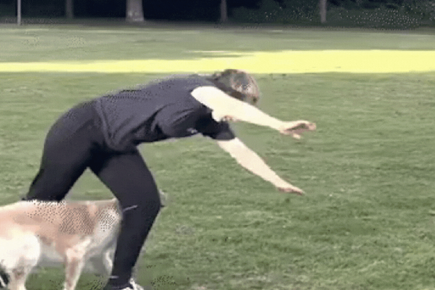 Tutora bate recorde de maior número de estrelinhas dadas em um minuto com sua cadela 'costurando' entre seus braços e pernas